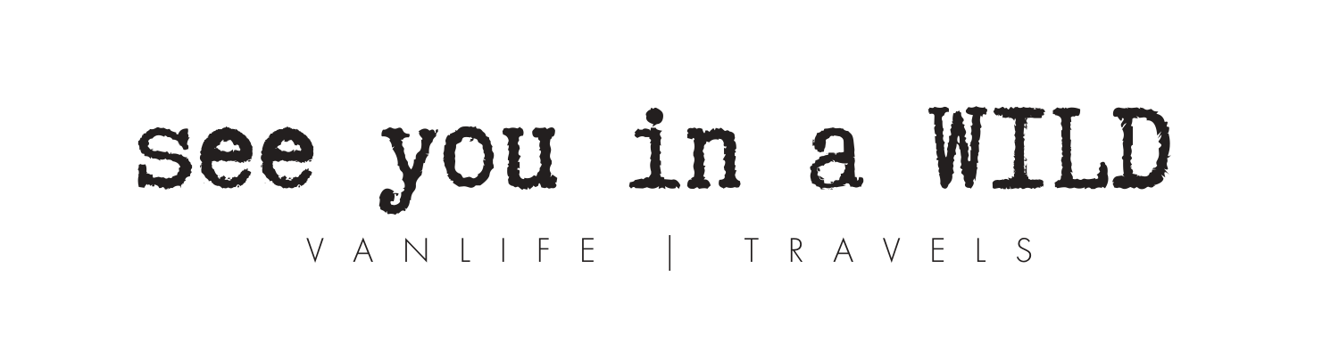 see you in a WILD · VANLIFE | TRAVELS
